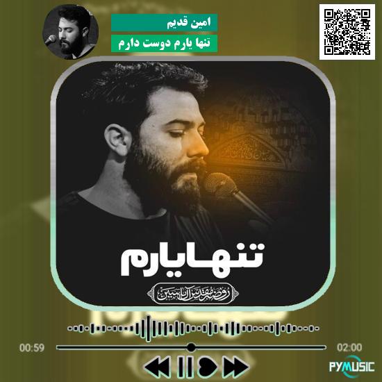 دانلود نماهنگ تنها یارم دوست دارم امین قدیم
